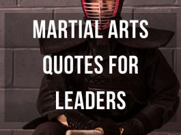 Martial Arts Quotes